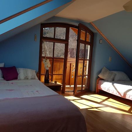 Apartament Intol Z Widokiem Na Sniezke 卡尔帕奇 外观 照片