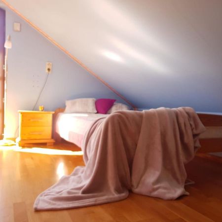 Apartament Intol Z Widokiem Na Sniezke 卡尔帕奇 外观 照片