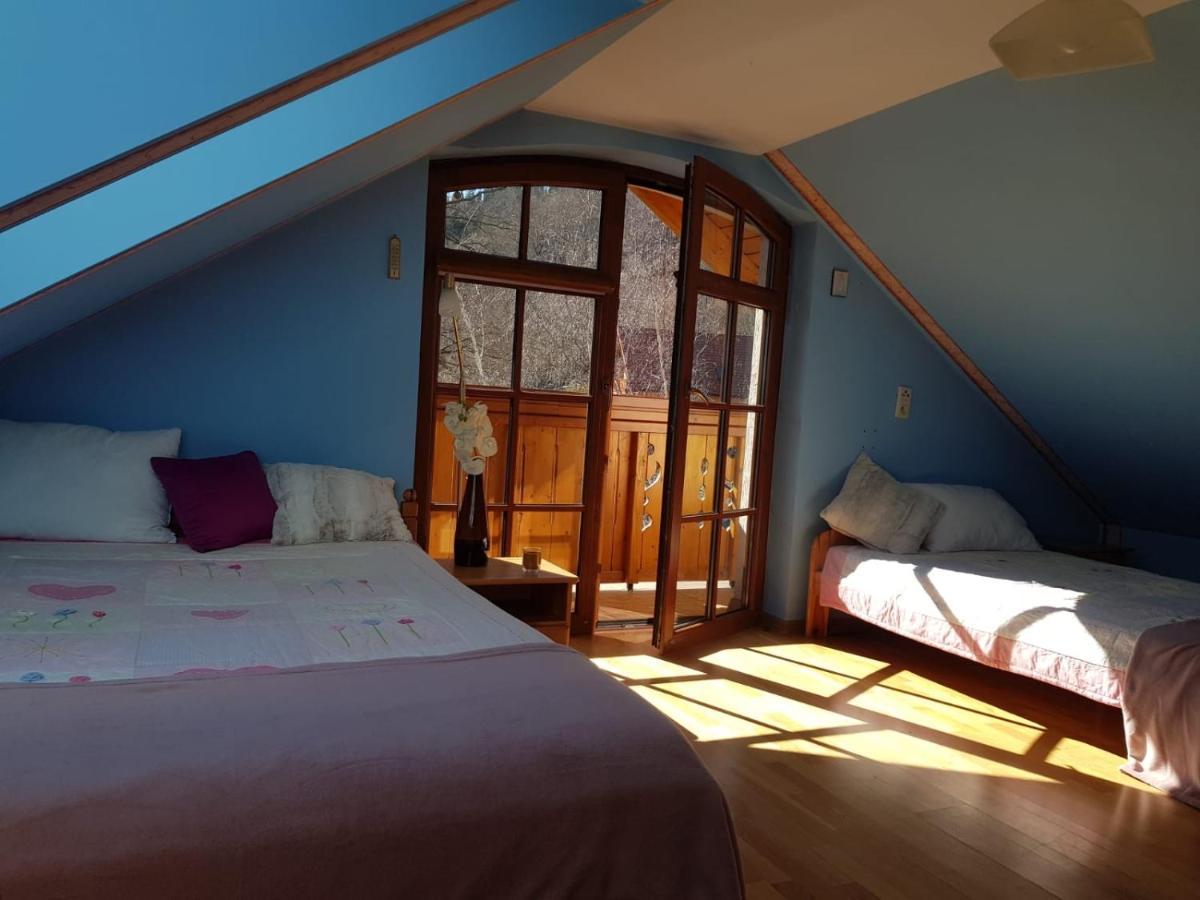 Apartament Intol Z Widokiem Na Sniezke 卡尔帕奇 外观 照片