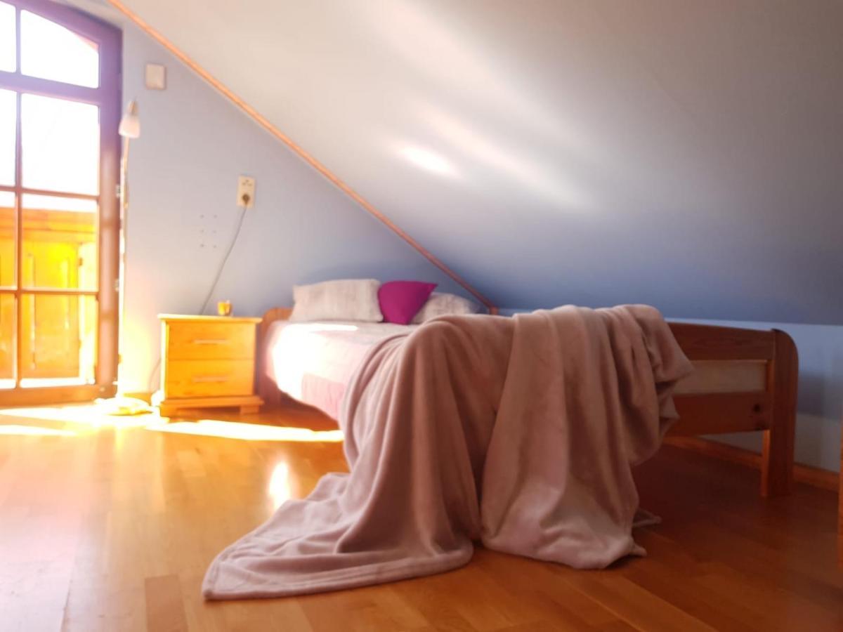Apartament Intol Z Widokiem Na Sniezke 卡尔帕奇 外观 照片